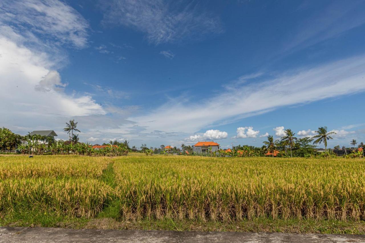D'Jineng Rice Terrace Canggu Exteriör bild