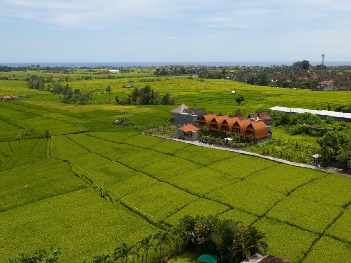 D'Jineng Rice Terrace Canggu Exteriör bild